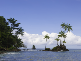 NP Corcovado 1 (Kostarika, Dreamstime)