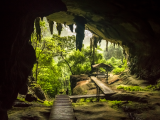 jeskynní vchod do NP Niah (Malajsie, Dreamstime)