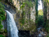 vodopád Xico Veracruz, mlhavý les (Mexiko, Dreamstime)