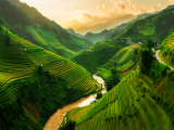 Terrasovitá rýžová pole v Mu Cang Chai (Vietnam, Dreamstime)