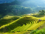 mu chang chai (Vietnam, Dreamstime)