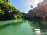 Řeka Loboc, Bohol (Filipíny, Ing. Růžena Duchková)