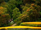 Venkov, Sumatra (Indonésie, Shutterstock)