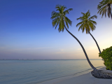 bílá pláž (Maledivy, Shutterstock)