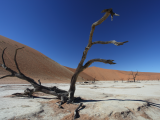 poušť Namib (Namibie,  Libor Schwarz)