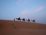 výlet na velbloudech před východem slunce (Maroko, Gabriela Šifaldová)