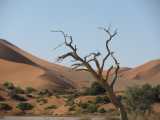 poušť Namib (Namibie, Ing. Zdeněk Zvoníček)