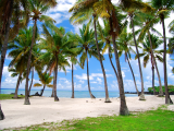 Grande Comore (Komory,  Shutterstock)