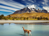 Torres del Paine 2 (Chile, Shutterstock)