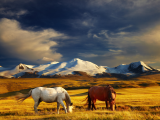 Náhorní plošina Ukok (Mongolsko, Shutterstock)