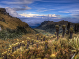 krajina Paramo s klejovky, Nevado del Ruiz (Kolumbie, Shutterstock)