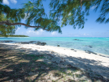 Ile aux Cerfs (Mauricius, Shutterstock)