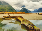 Milford Sound (Nový Zéland, Shutterstock)