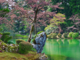 Kenroku-en, Kanazawa (Japonsko, Shutterstock)