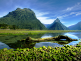Milford Sound (Nový Zéland, Shutterstock)