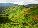 Dračí hory (Lesotho,  Shutterstock)