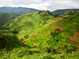 Dračí hory (Lesotho, Shutterstock)