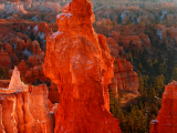 Thor's hammer, NP Bryce Canyon (USA, Shutterstock)