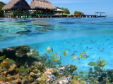 Bocas del Toro (Panama, Shutterstock)