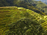 rýžové terasy, Banaue (Filipíny, Shutterstock)