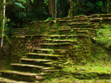 Ciudad Perdida, Tayrona (Kolumbie, Shutterstock)