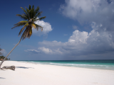 pláž, Tulum (Mexiko, Shutterstock)