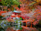 Daigo-ji, Fuchimi-ku, Kjóto (Japonsko, Shutterstock)