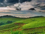 Uganda (Uganda,  Shutterstock)