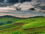 Uganda (Uganda, Shutterstock)