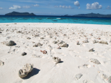 Pláž (Mayotte, Shutterstock)