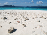 Pláž (Mayotte,  Shutterstock)