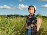 Hmong (Thajsko, Shutterstock)