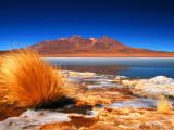 laguna v poušti (Bolívie, Shutterstock)
