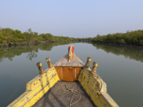 NP Sunderbans (Bangladéš,  Shutterstock)