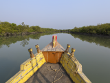 NP Sunderbans (Bangladéš, Shutterstock)