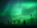 Polární záře, Fairbanks (USA, Shutterstock)