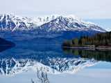 poloostrov Kenai (USA, Shutterstock)