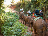 treking na slonech (Thajsko, Shutterstock)
