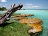 Laguna Bacalar (Mexiko,  Shutterstock)