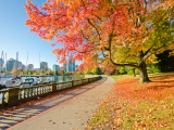 Stanley Park, Vancouver (Kanada, Shutterstock)