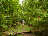 Cesta pralesem, NP Corcovado (Kostarika, Mgr. Hana Dušáková)