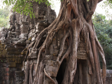 Chrám v Angkoru (Kambodža, Michal Čepek)