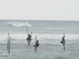 srílanští rybáři (Srí Lanka, Ing. Katka Maruškinová)