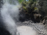 Rotorua (Nový Zéland,  Bc. Markéta Doležalová)