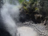 Rotorua (Nový Zéland, Bc. Markéta Doležalová)