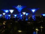 Gardens by the Bay (Singapur, Luděk Erban)