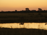Hwange NP (Zimbabwe, Marcela Dvořáková)