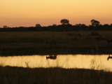 Hwange NP (Zimbabwe,  Marcela Dvořáková)