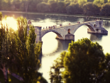 Avignon (Francie,  Dreamstime)