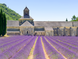 Opatství Senanque, Luberon (Francie,  Dreamstime)